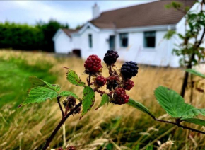 Cathleen's Cottage